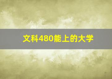 文科480能上的大学