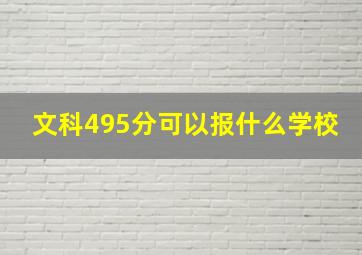 文科495分可以报什么学校