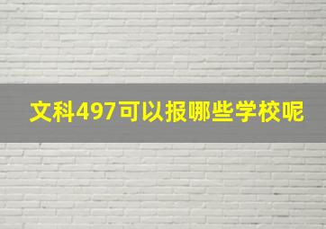 文科497可以报哪些学校呢