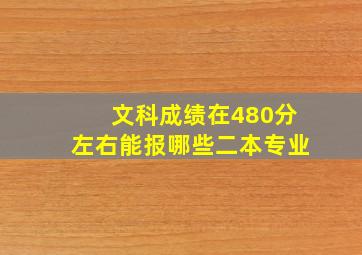 文科成绩在480分左右能报哪些二本专业