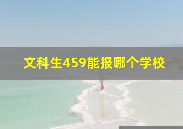 文科生459能报哪个学校