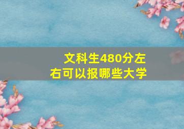 文科生480分左右可以报哪些大学