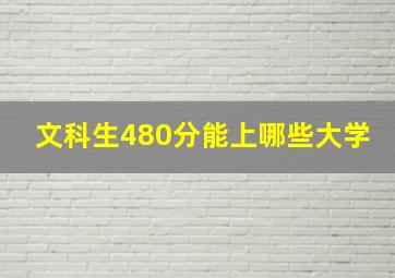 文科生480分能上哪些大学