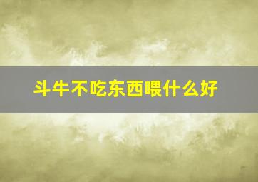 斗牛不吃东西喂什么好