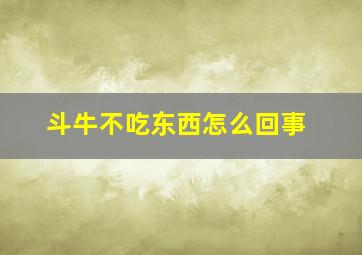 斗牛不吃东西怎么回事