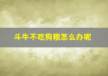 斗牛不吃狗粮怎么办呢