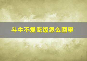 斗牛不爱吃饭怎么回事