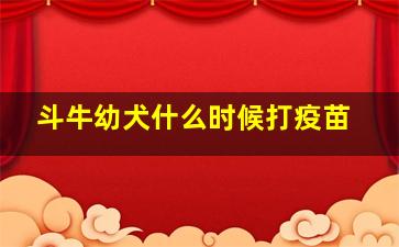 斗牛幼犬什么时候打疫苗