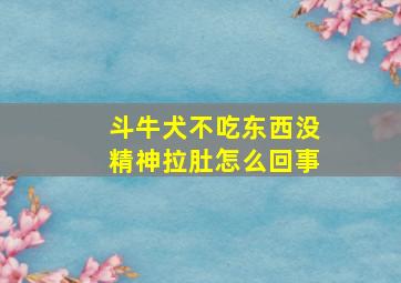 斗牛犬不吃东西没精神拉肚怎么回事