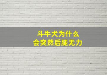 斗牛犬为什么会突然后腿无力