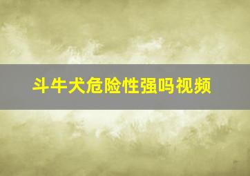 斗牛犬危险性强吗视频