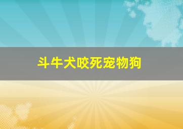 斗牛犬咬死宠物狗