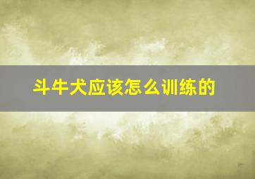 斗牛犬应该怎么训练的