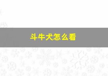 斗牛犬怎么看