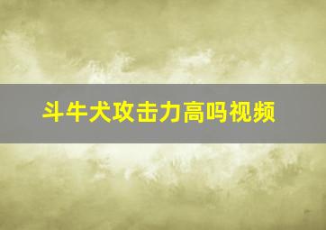 斗牛犬攻击力高吗视频