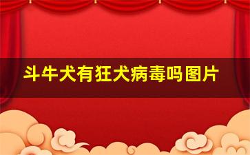 斗牛犬有狂犬病毒吗图片