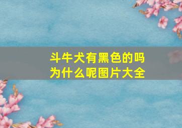 斗牛犬有黑色的吗为什么呢图片大全