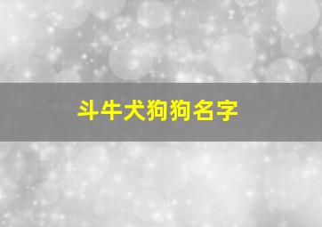 斗牛犬狗狗名字