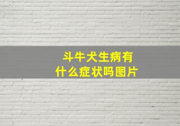 斗牛犬生病有什么症状吗图片