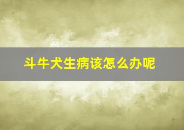 斗牛犬生病该怎么办呢