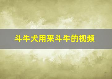 斗牛犬用来斗牛的视频