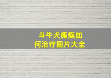 斗牛犬瘫痪如何治疗图片大全