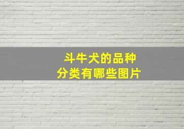 斗牛犬的品种分类有哪些图片