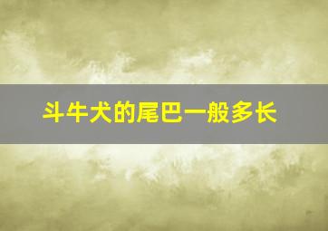 斗牛犬的尾巴一般多长