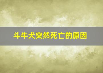 斗牛犬突然死亡的原因