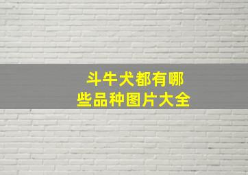 斗牛犬都有哪些品种图片大全