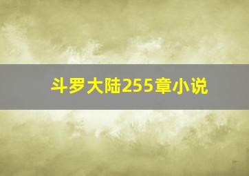 斗罗大陆255章小说