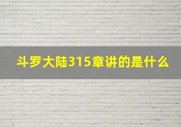 斗罗大陆315章讲的是什么