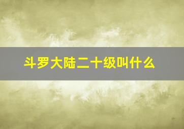 斗罗大陆二十级叫什么