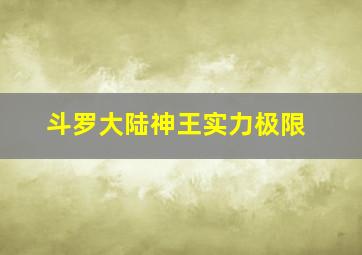 斗罗大陆神王实力极限