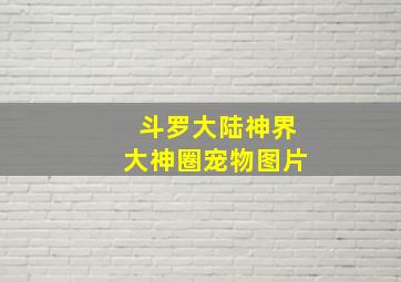 斗罗大陆神界大神圈宠物图片