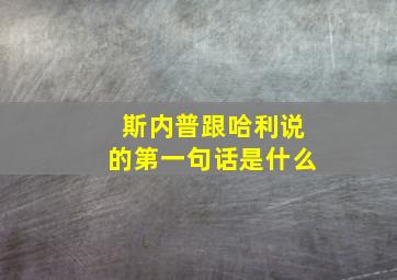 斯内普跟哈利说的第一句话是什么