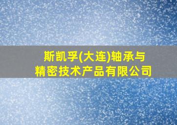 斯凯孚(大连)轴承与精密技术产品有限公司