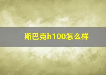 斯巴克h100怎么样