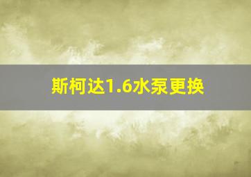 斯柯达1.6水泵更换