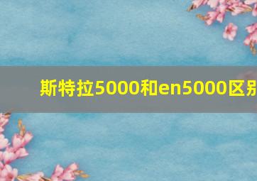 斯特拉5000和en5000区别