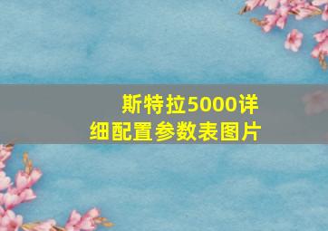 斯特拉5000详细配置参数表图片