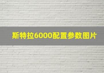 斯特拉6000配置参数图片