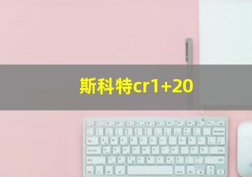 斯科特cr1+20