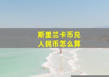 斯里兰卡币兑人民币怎么算