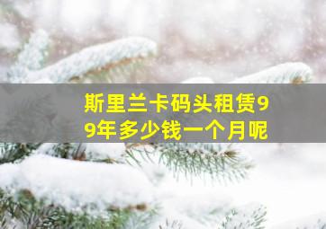 斯里兰卡码头租赁99年多少钱一个月呢