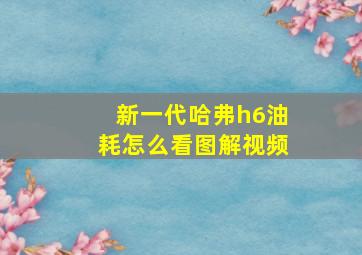 新一代哈弗h6油耗怎么看图解视频