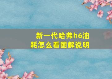 新一代哈弗h6油耗怎么看图解说明