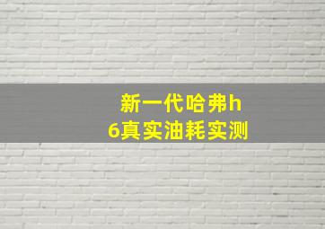 新一代哈弗h6真实油耗实测