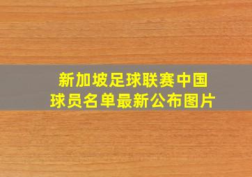 新加坡足球联赛中国球员名单最新公布图片