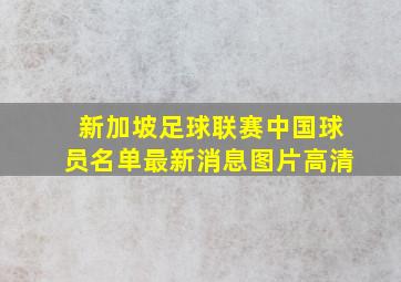 新加坡足球联赛中国球员名单最新消息图片高清